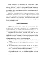 Marketingo planas: Daumantų padažas UAB "Vesiga" 13 puslapis