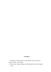 Marketingo planas: Daumantų padažas UAB "Vesiga" 16 puslapis