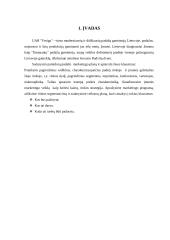 Marketingo planas: Daumantų padažas UAB "Vesiga" 3 puslapis