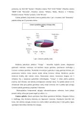 Marketingo planas: Daumantų padažas UAB "Vesiga" 5 puslapis