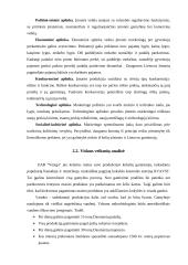 Marketingo planas: Daumantų padažas UAB "Vesiga" 6 puslapis