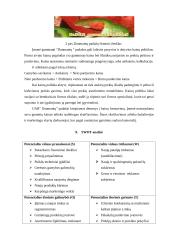 Marketingo planas: Daumantų padažas UAB "Vesiga" 8 puslapis