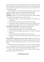 Marketingo planas: Daumantų padažas UAB "Vesiga" 10 puslapis