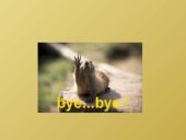 Gydytojo profesija ir medicinos studijos 11 puslapis