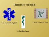Gydytojo profesija ir medicinos studijos 3 puslapis