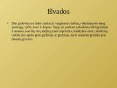 Gydytojo profesija ir medicinos studijos 10 puslapis