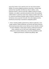 Reformacija ir kapitalizmas 2 puslapis