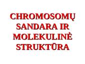 Chromosomų sandara ir molekulinė struktūra