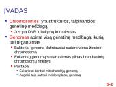 Chromosomų sandara ir molekulinė struktūra 2 puslapis