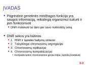 Chromosomų sandara ir molekulinė struktūra 3 puslapis
