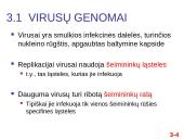 Chromosomų sandara ir molekulinė struktūra 4 puslapis