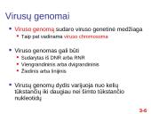 Chromosomų sandara ir molekulinė struktūra 6 puslapis