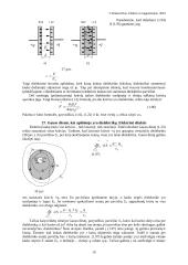 Elektrostatikos teorija egzaminui 5 puslapis