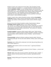 Branduolinės fizikos teorija atsiskaitymui 3 puslapis