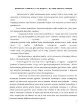 Mokymosi visą gyvenimą memorandumo (2001) tezių analizė 4 puslapis