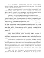 Monolitas. Statyba 15 puslapis