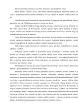 Monolitas. Statyba 5 puslapis