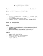 Muzikos pamokos planas: baletas 2 puslapis