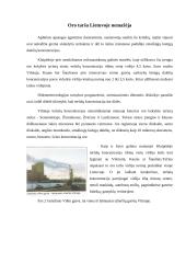 Oro tarša Mažeikiuose 4 puslapis