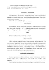 Oro tarša Mažeikiuose 5 puslapis