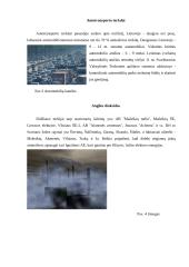 Oro tarša Mažeikiuose 6 puslapis