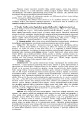 Antikinės literatūros paskaitų medžiaga egzaminui 10 puslapis