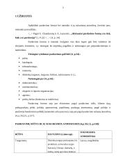 Pardavimo organizavimas 3 puslapis