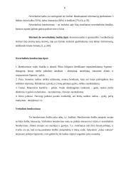 Pardavimo organizavimas 8 puslapis