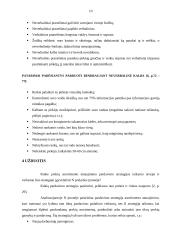 Pardavimo organizavimas 10 puslapis