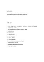 Mokytojų vėlavimas į pamokas 2 puslapis