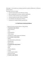 Paskirstymo logistika: UAB "Vilniaus duona" 4 puslapis