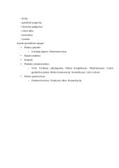 Paskirstymo logistika: UAB "Vilniaus duona" 5 puslapis