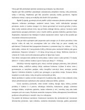 Perspėjimo signalai ir veiksmai pagal juos 4 puslapis