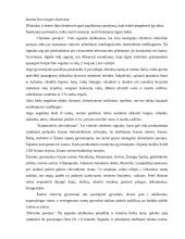 Perspėjimo signalai ir veiksmai pagal juos 5 puslapis