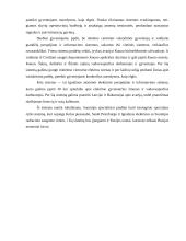 Perspėjimo signalai ir veiksmai pagal juos 8 puslapis