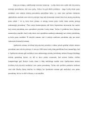 Teisinio precedentas ir jo samprata 15 puslapis