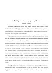 Teisinio precedentas ir jo samprata 17 puslapis