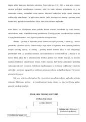 Teisinio precedentas ir jo samprata 18 puslapis