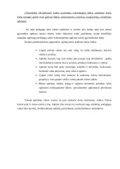 Priešmokyklinio ugdymo technologija. Vaiko ugdymosi skatinimas sukuriant tinkamą aplinką 4 puslapis