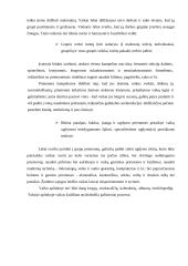 Priešmokyklinio ugdymo technologija. Vaiko ugdymosi skatinimas sukuriant tinkamą aplinką 6 puslapis