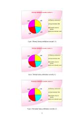 Produkto kainų stebėjimas ir analizė 5 puslapis