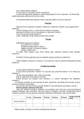 Verslo planas naujai pradedantiesiems 11 puslapis