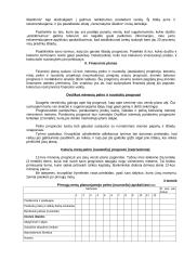 Verslo planas naujai pradedantiesiems 13 puslapis