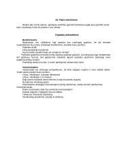 Verslo planas naujai pradedantiesiems 19 puslapis