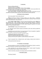 Verslo planas naujai pradedantiesiems 4 puslapis