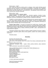 Verslo planas naujai pradedantiesiems 5 puslapis