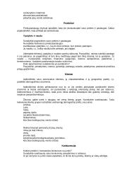 Verslo planas naujai pradedantiesiems 6 puslapis