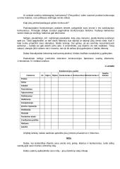 Verslo planas naujai pradedantiesiems 7 puslapis