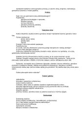 Verslo planas naujai pradedantiesiems 10 puslapis