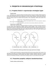 Projekto valdymas 6 puslapis